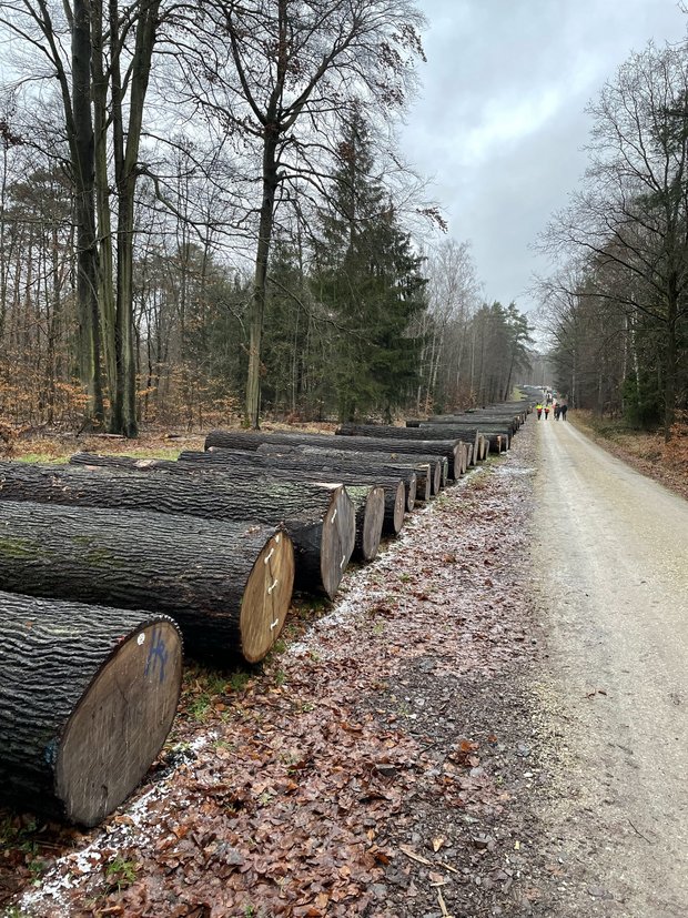 Submissionsplatz Submissionsplatz